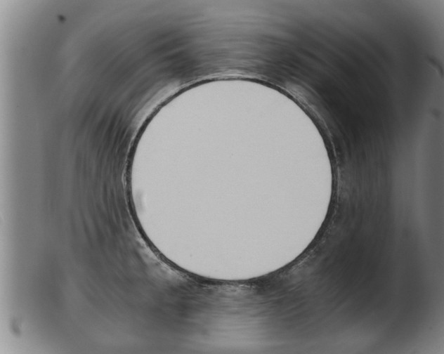 X0000103961189200809191327