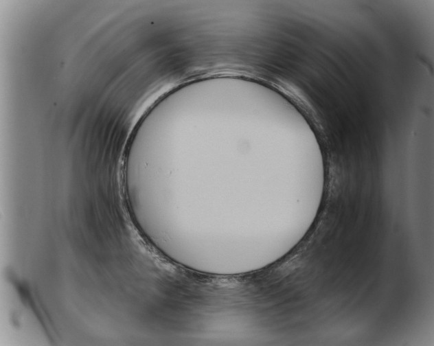 X0000103961190200809191327