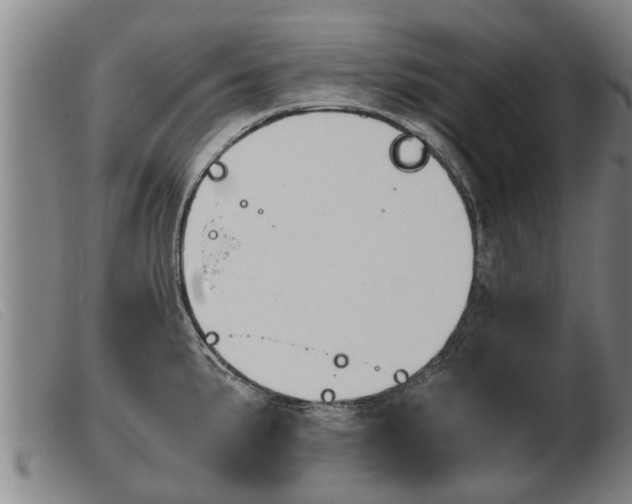 X0000103961191200809191327