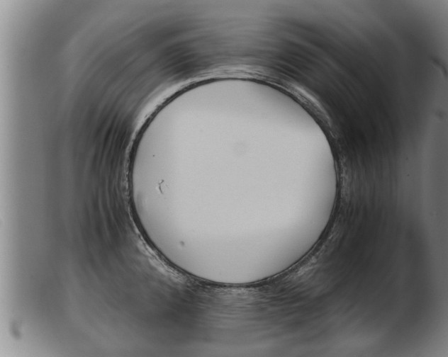 X0000103961192200809191327
