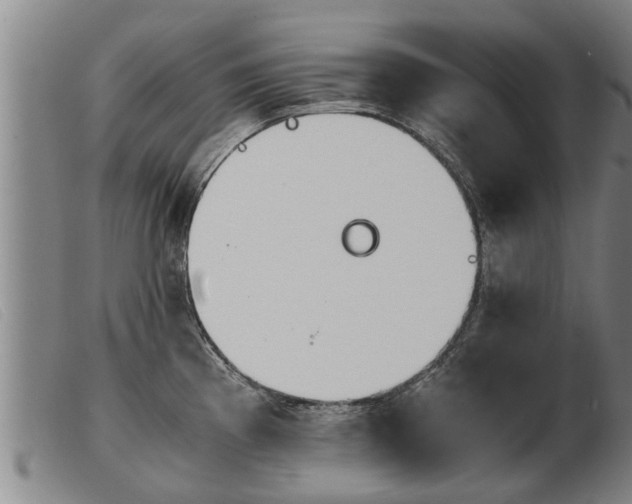 X0000103961193200809191327