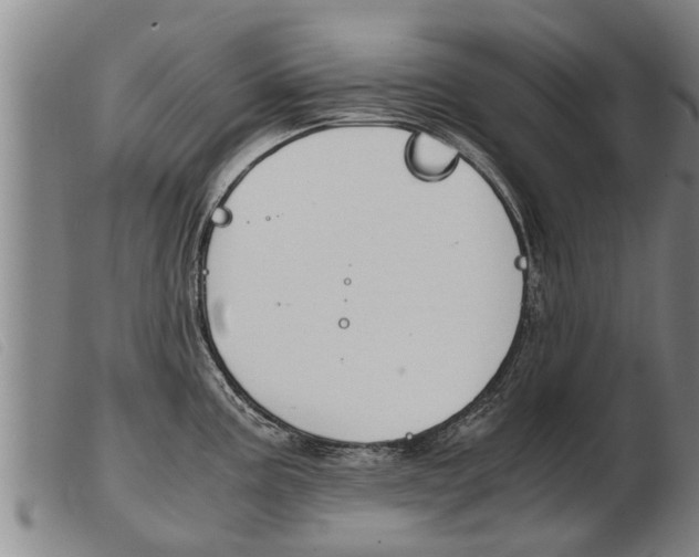 X0000103961195200809191327