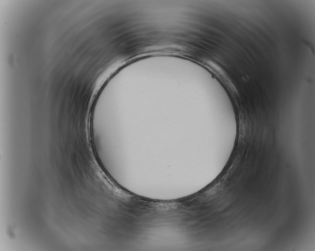 X0000103961196200809191327
