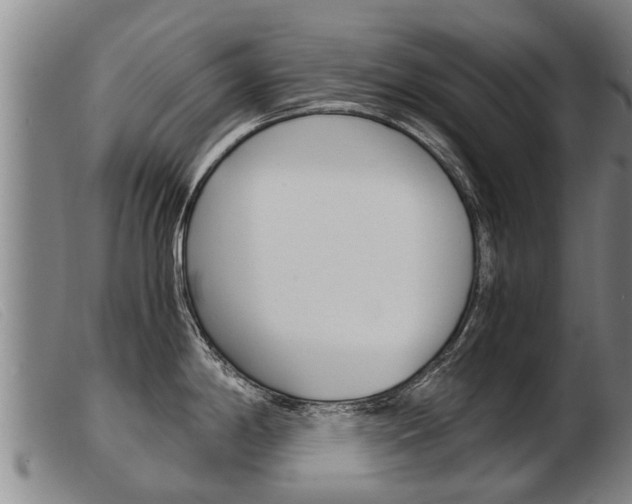 X0000103961198200809191327