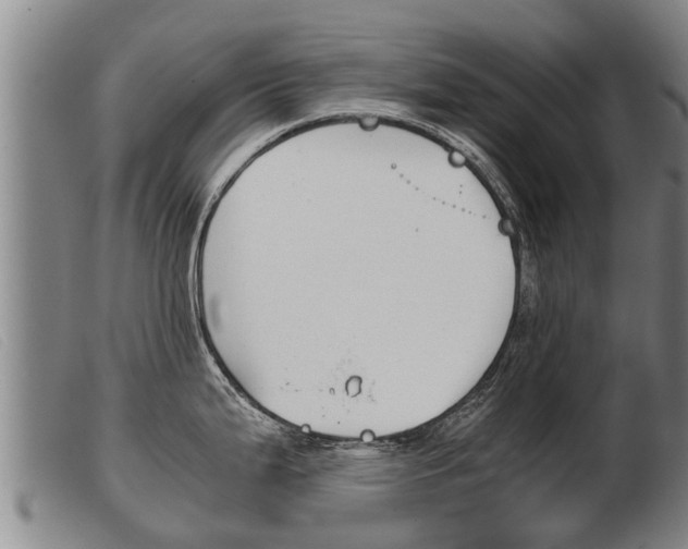 X0000103961199200809191327