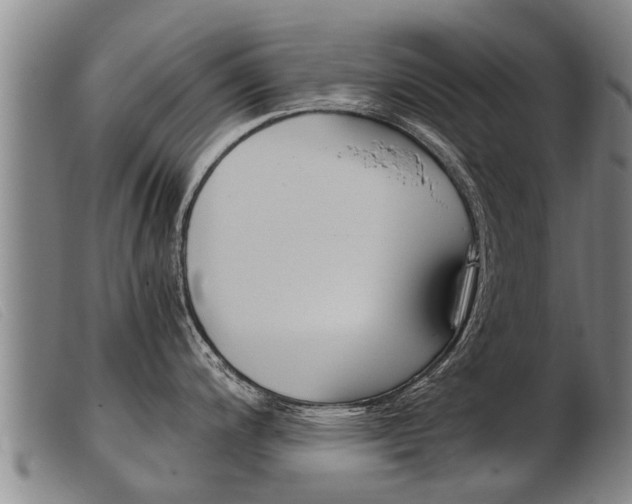 X0000103961200200809191327
