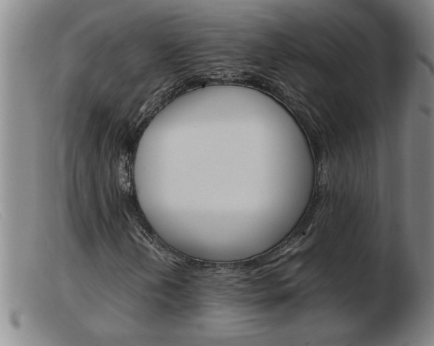 X0000103961202200809191326
