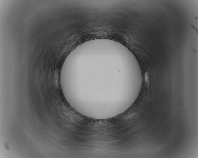 X0000103961203200809191326