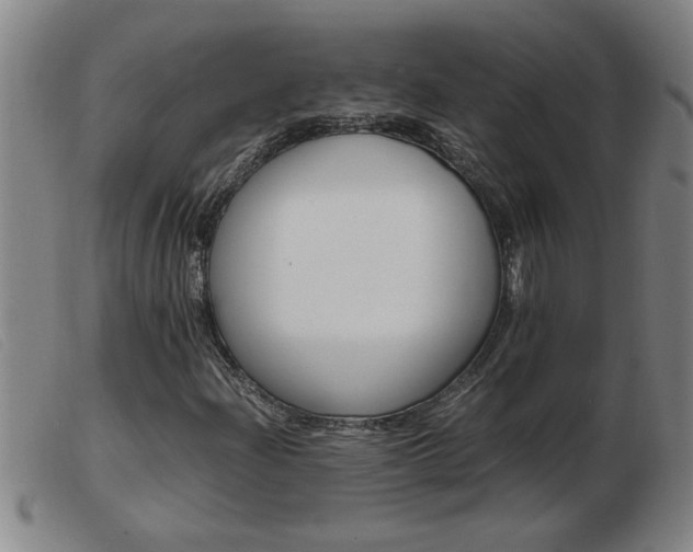 X0000103961204200809191326