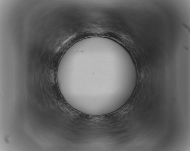 X0000103961205200809191326