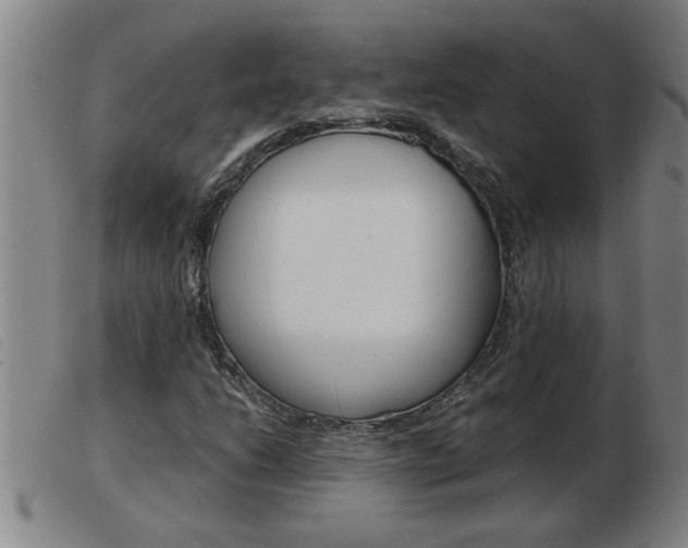 X0000103961206200809191326