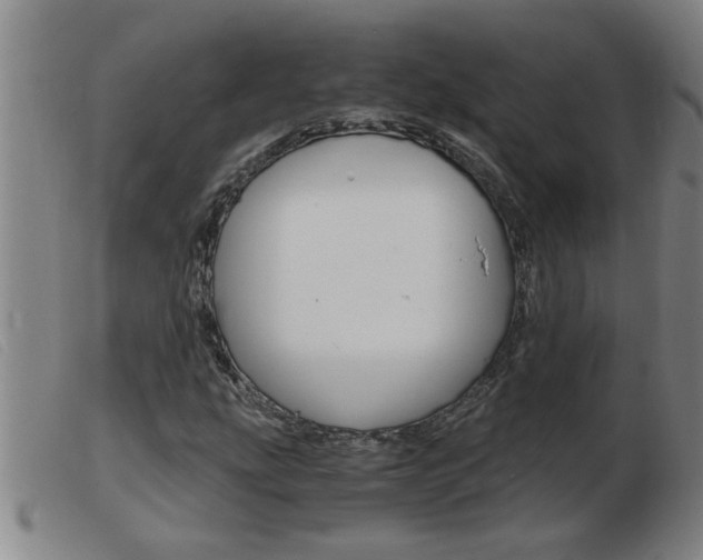 X0000103961207200809191326
