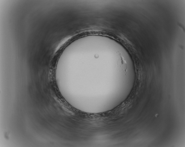 X0000103961208200809191326
