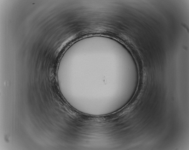 X0000103961210200809191326