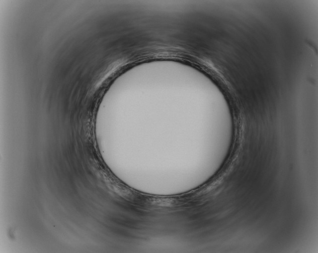 X0000103961211200809191326