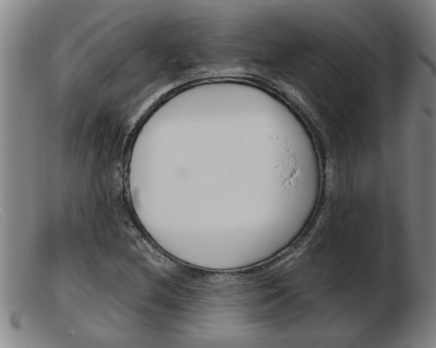X0000103961212200809191327