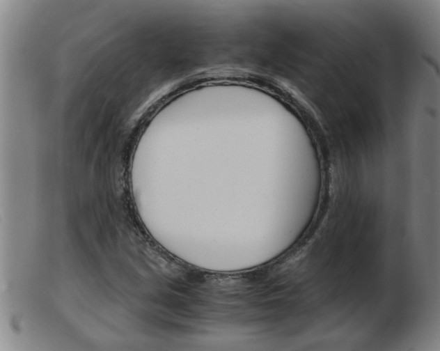 X0000103961213200809191327