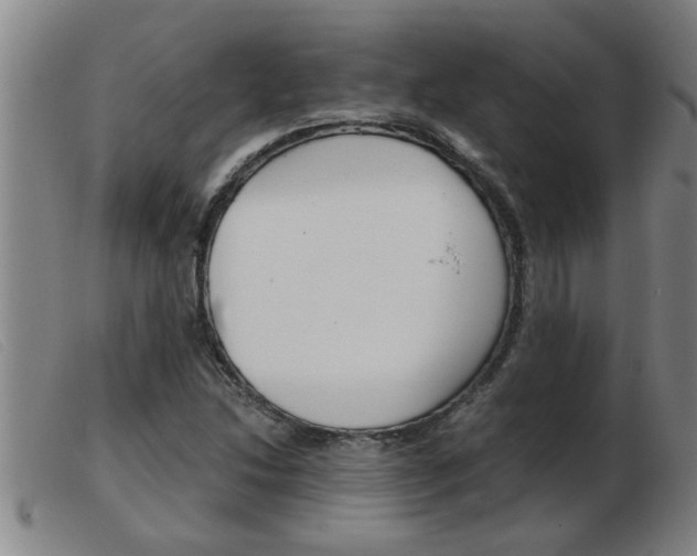 X0000103961214200809191327