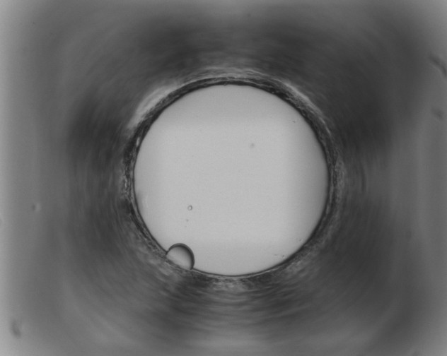 X0000103961215200809191327