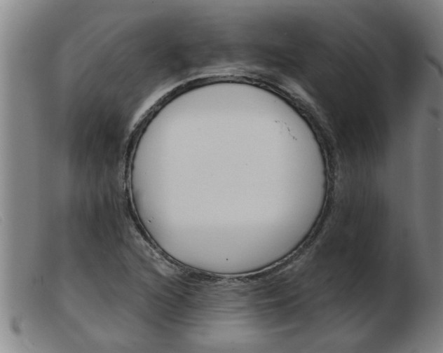 X0000103961216200809191327