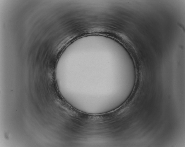 X0000103961217200809191327