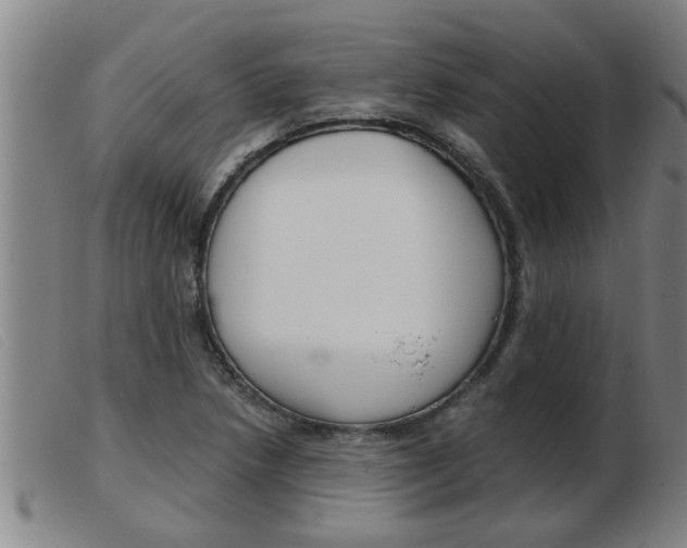 X0000103961218200809191327