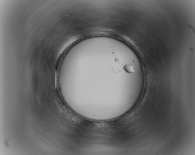 X0000103961219200809191327