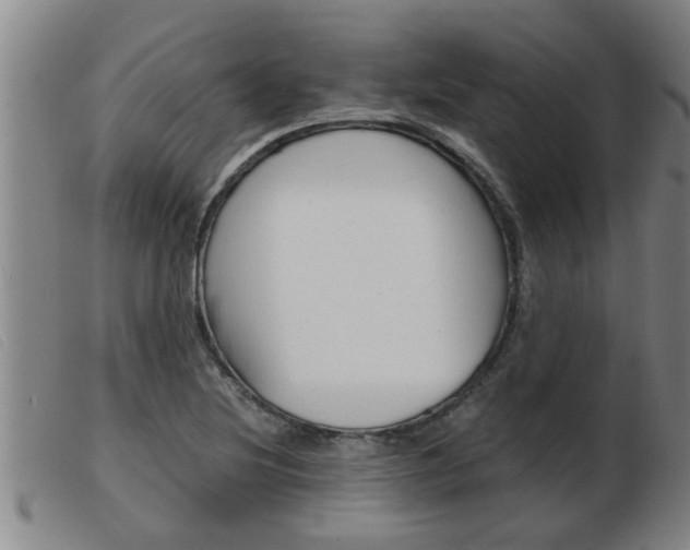 X0000103961220200809191327
