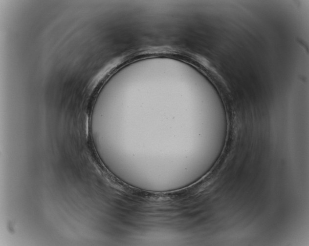X0000103961221200809191327