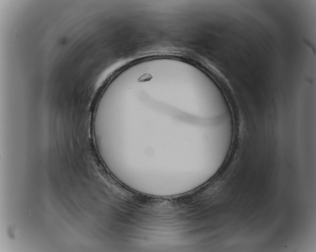 X0000103961222200809191327