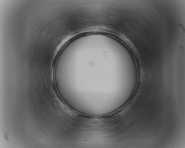 X0000103961224200809191327