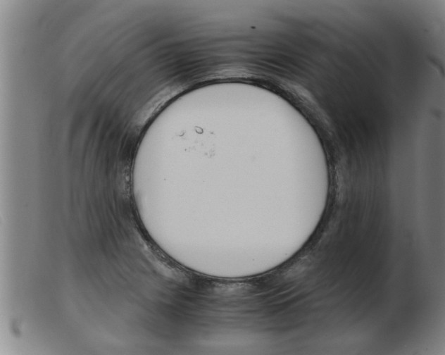 X0000103961225200809191327