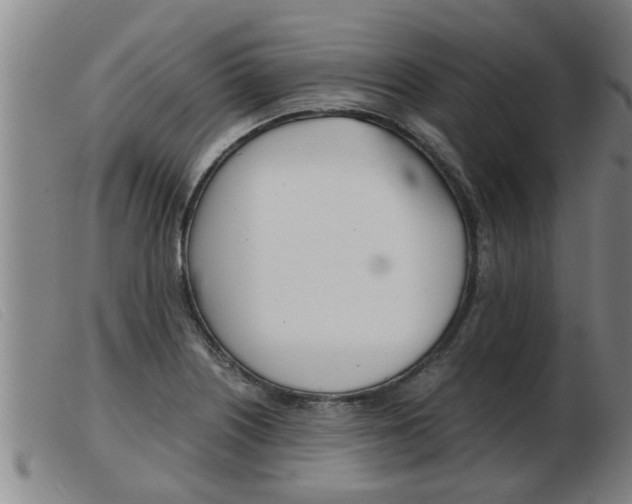X0000103961226200809191327