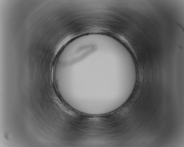 X0000103961227200809191327
