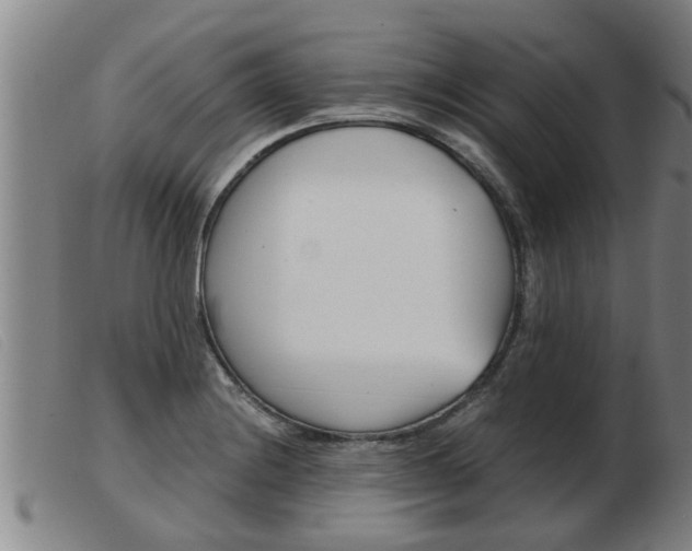 X0000103961228200809191327