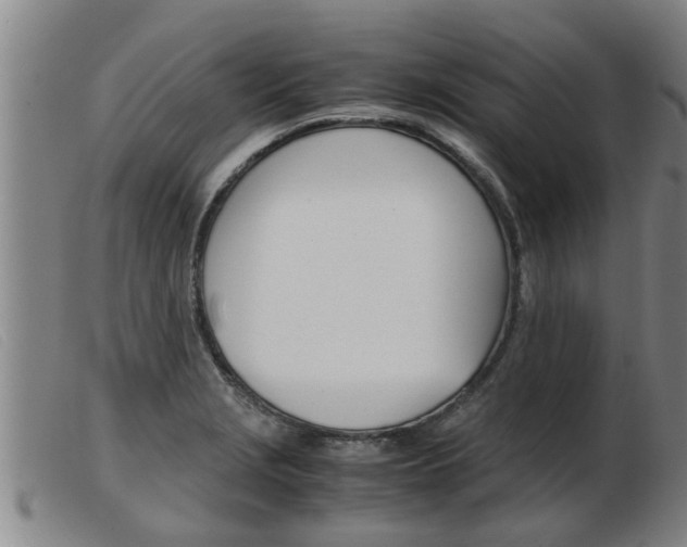 X0000103961229200809191327