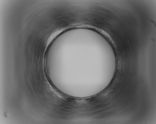 X0000103961231200809191327
