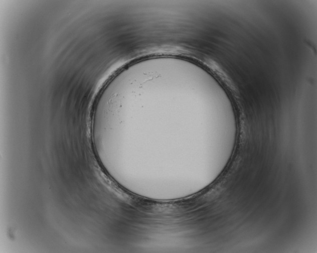 X0000103961232200809191327