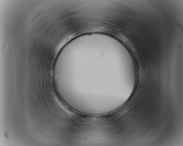 X0000103961234200809191327