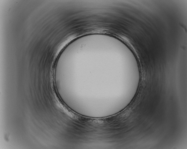 X0000103961235200809191327