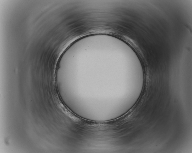 X0000103961236200809191327
