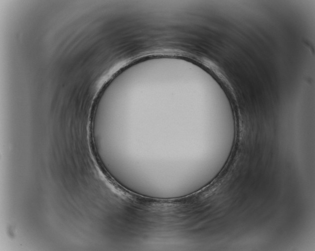 X0000103961237200809191327