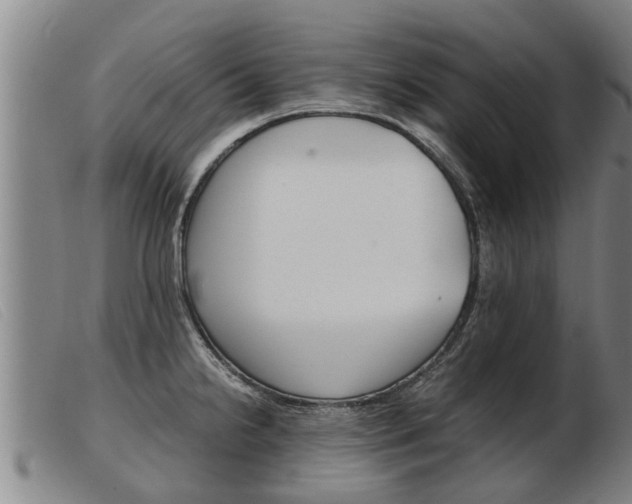 X0000103961238200809191327
