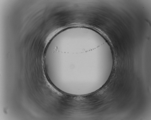 X0000103961239200809191327