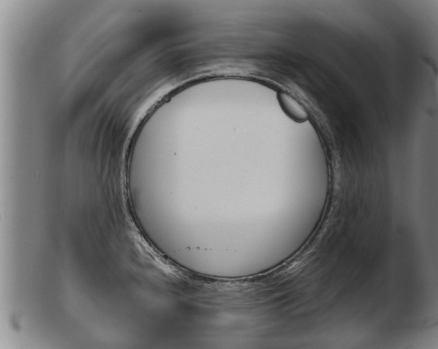 X0000103961240200809191327