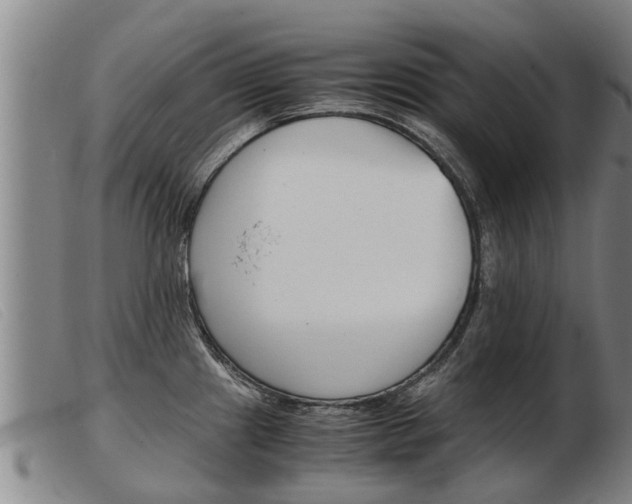 X0000103961241200809191327