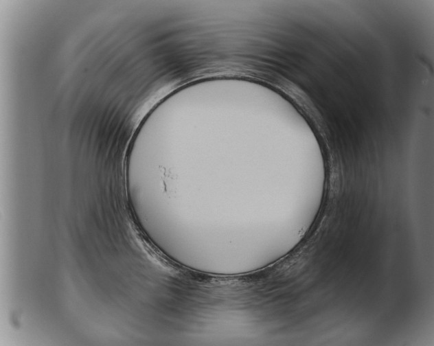 X0000103961242200809191327