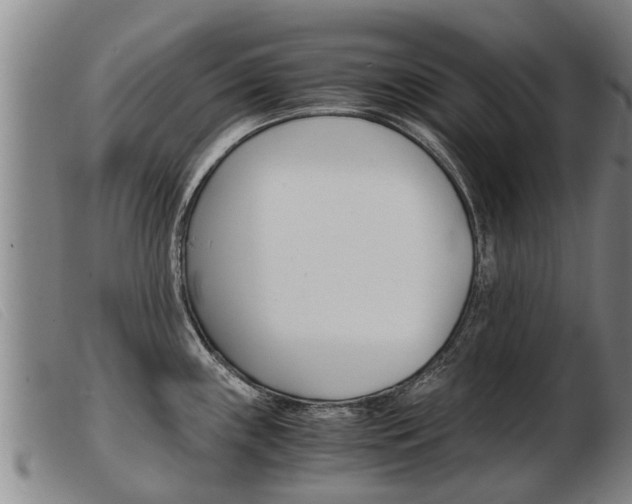 X0000103961243200809191327