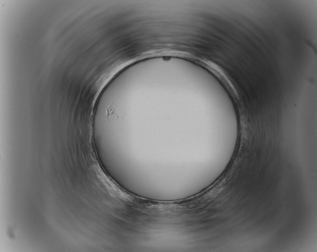 X0000103961244200809191327
