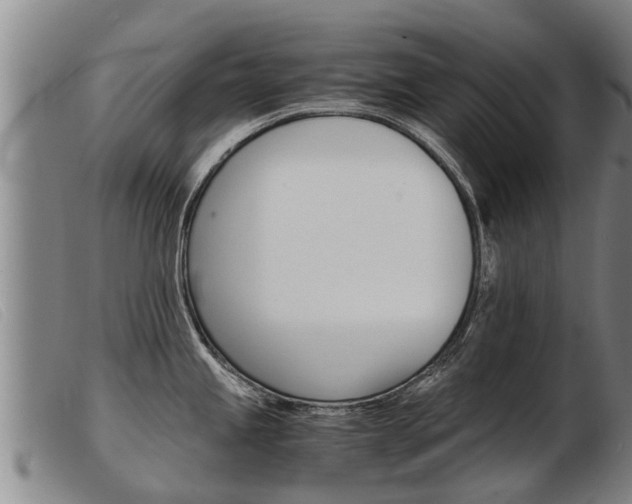 X0000103961245200809191327